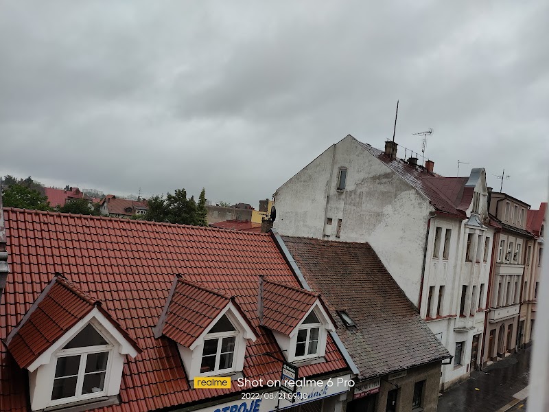 Hotel Zlata Stika in Hradec Kralove, Czechia