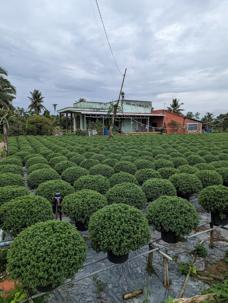 Jardin du Mekong Homestay in Ben Tre, Vietnam