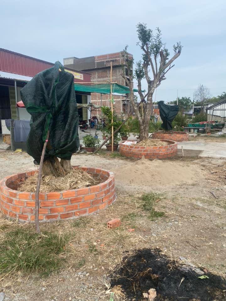 Kim Anh Hotel in Ca Mau, Vietnam