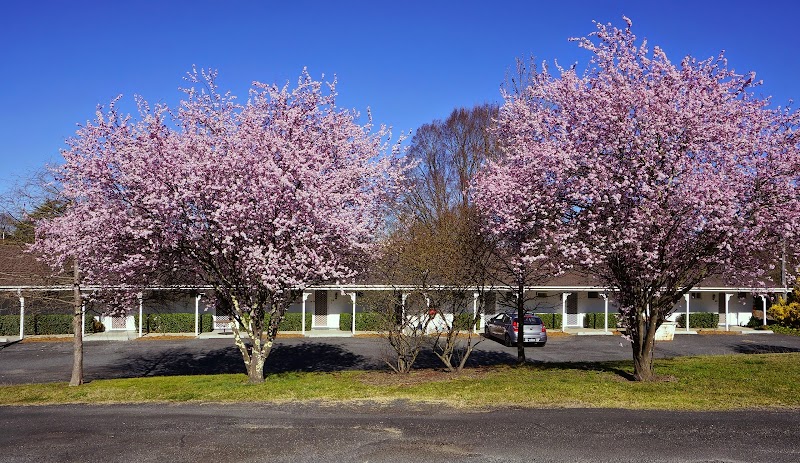 Moore Park Inn in Armidale, Australia