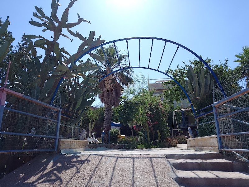 Morya's Guesthouse in Arad, Israel