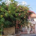 Onisillos Hotel