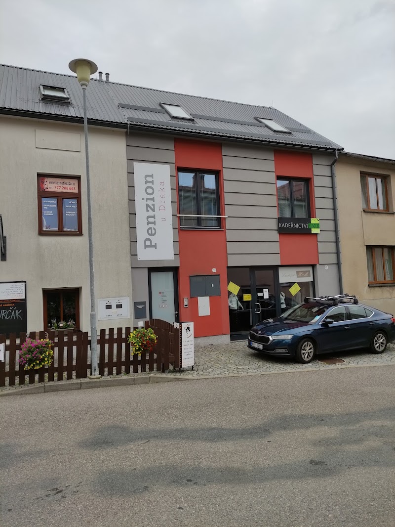 Penzion U Draka in Hradec Kralove, Czechia