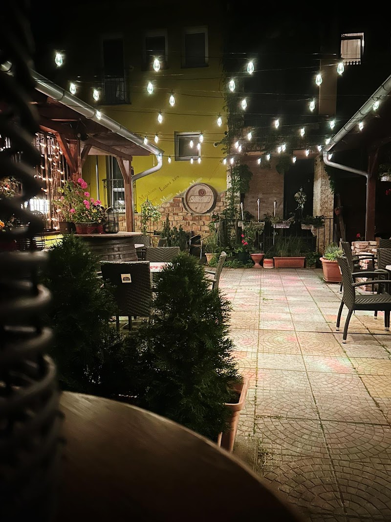 Penzion a Vinoteka Hrozen in Breclav, Czechia