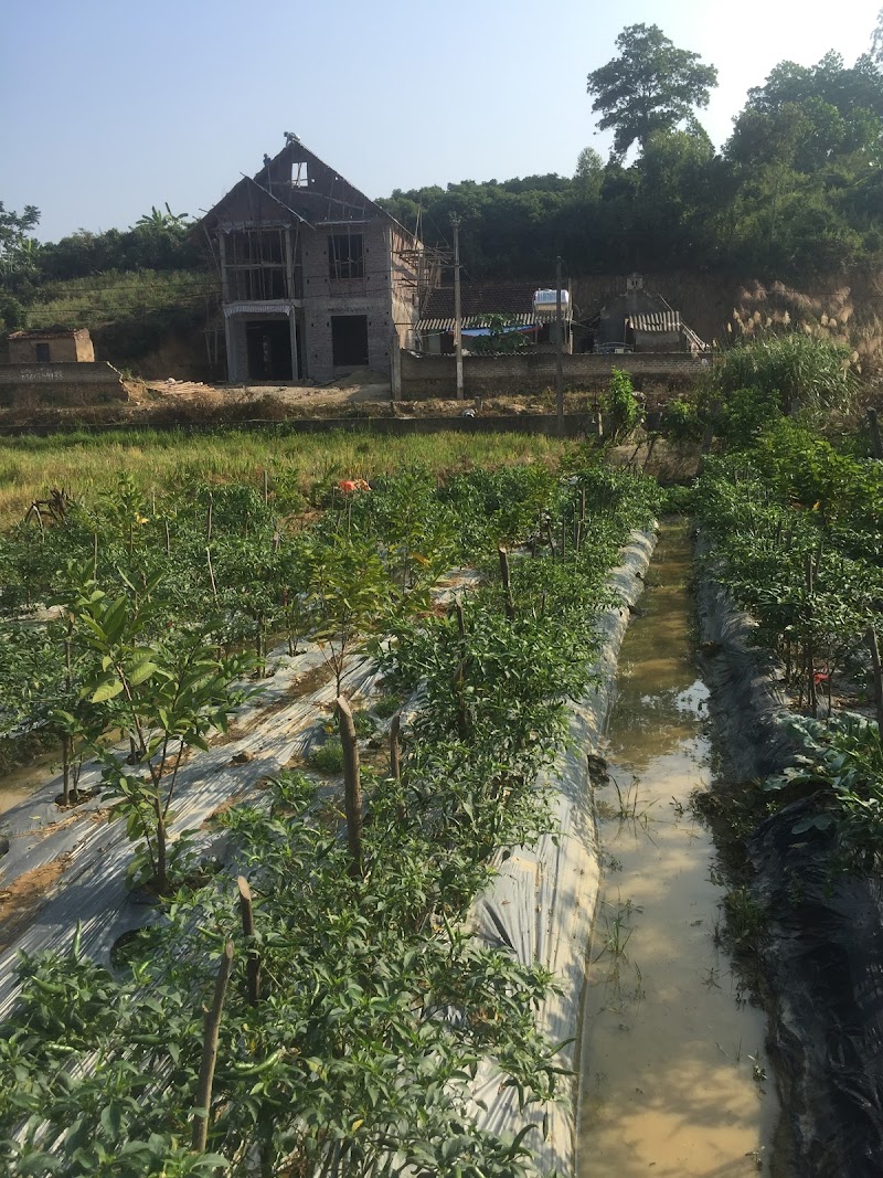 Tan Huong Hotel in Bac Giang, Vietnam