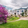 The Olive Tree Hotel