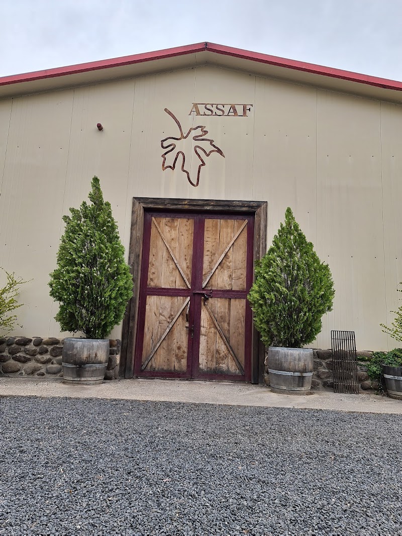 Tree House Chalet in Rosh Pinna, Israel