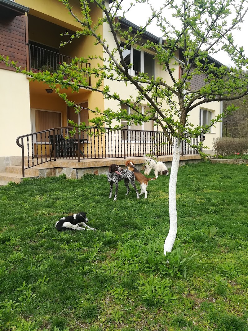 Villa Nanevi in Teteven, Bulgaria