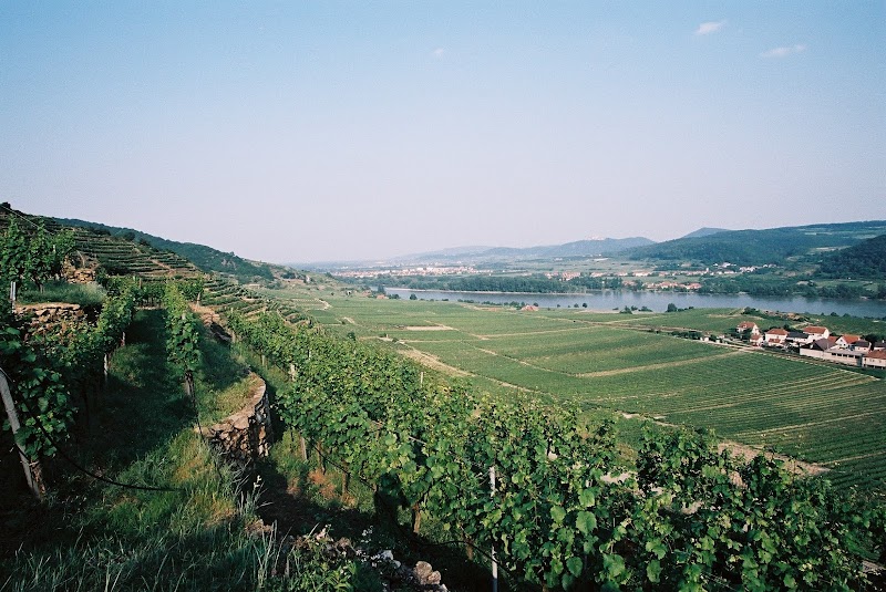 Wein-Gut Hutter in Krems an der Donau, Austria